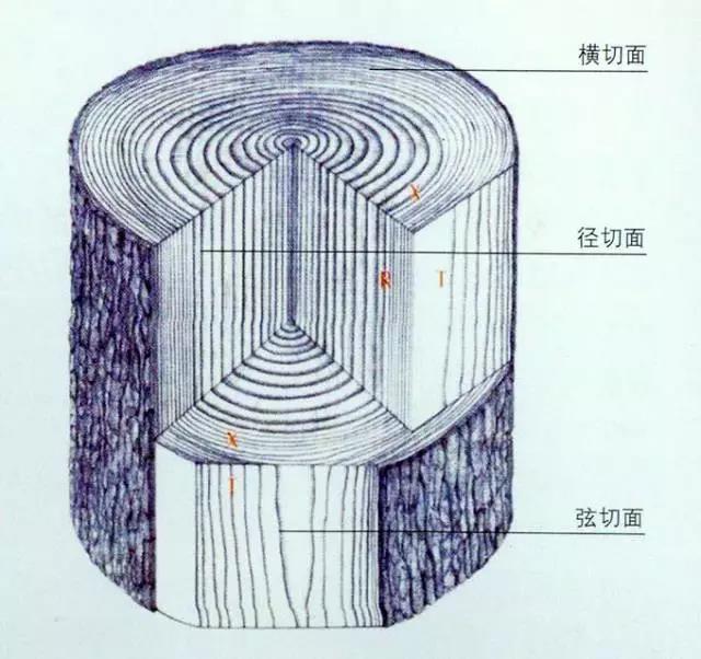 天然木材简介